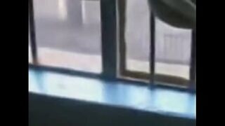 Big Black Dick🍆 Stretched Deep Inside White Cunt🌮️ and Released Swallowing Cum